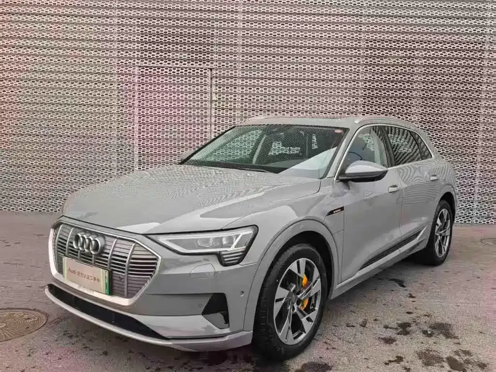 Audi e-tron (Import)