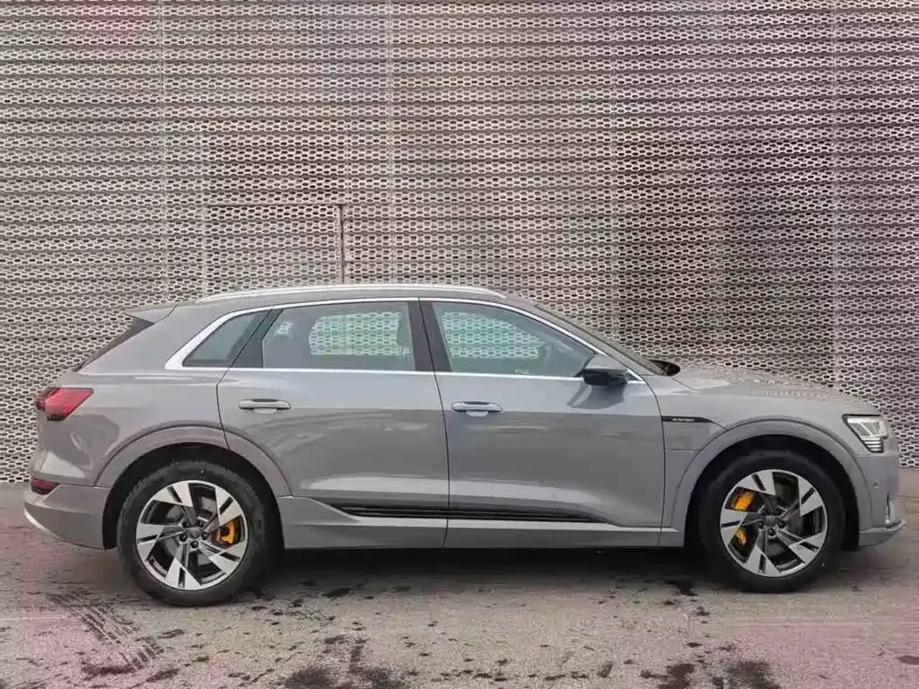 Audi e-tron (Import) 2021 из CN, фото 7