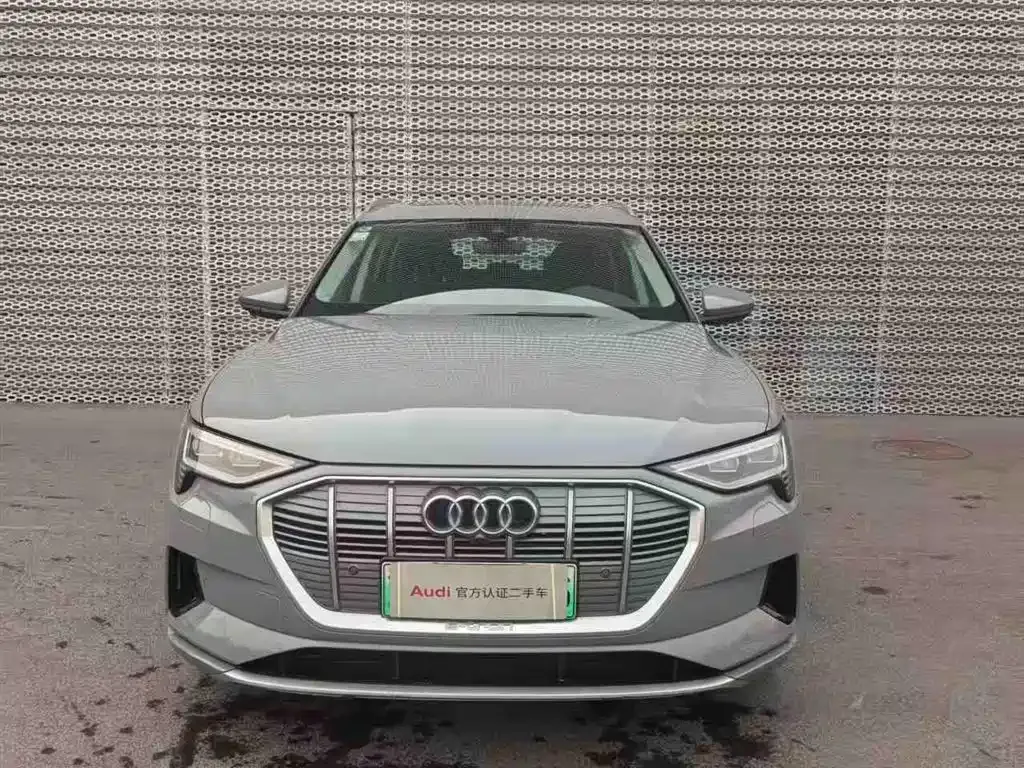 Audi e-tron (Import) 2021 из CN, фото 8