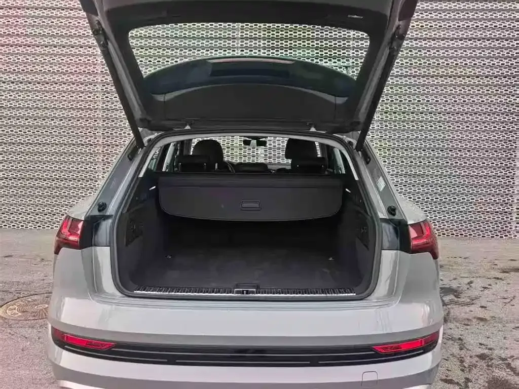 Audi e-tron (Import) 2021 из CN, фото 5