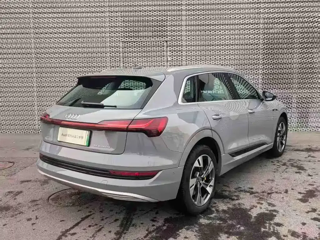 Audi e-tron (Import) 2021 из CN, фото 6