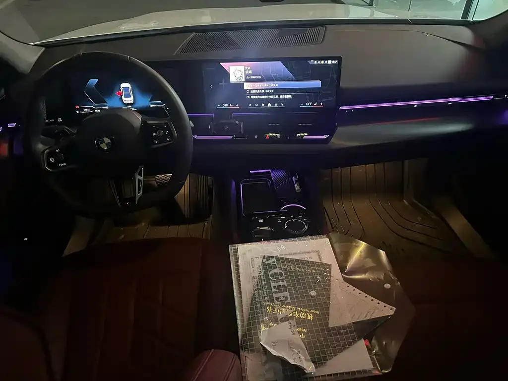 BMW 5 Series 2024 из CN, фото 9