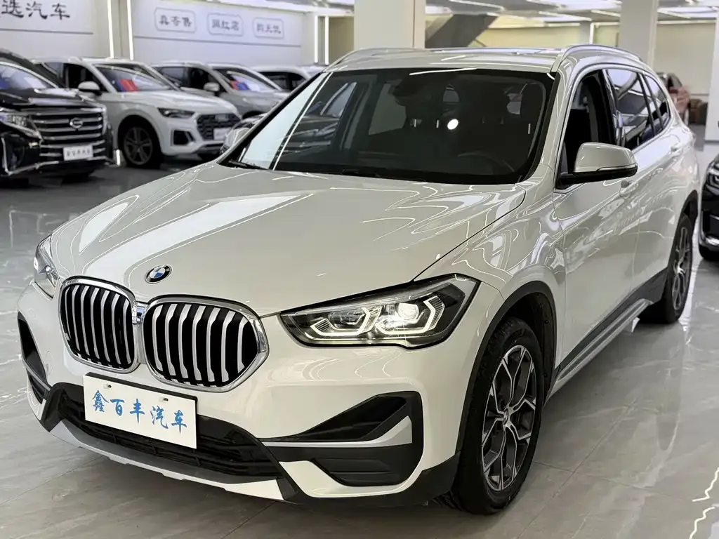 BMW X1 — фото 1