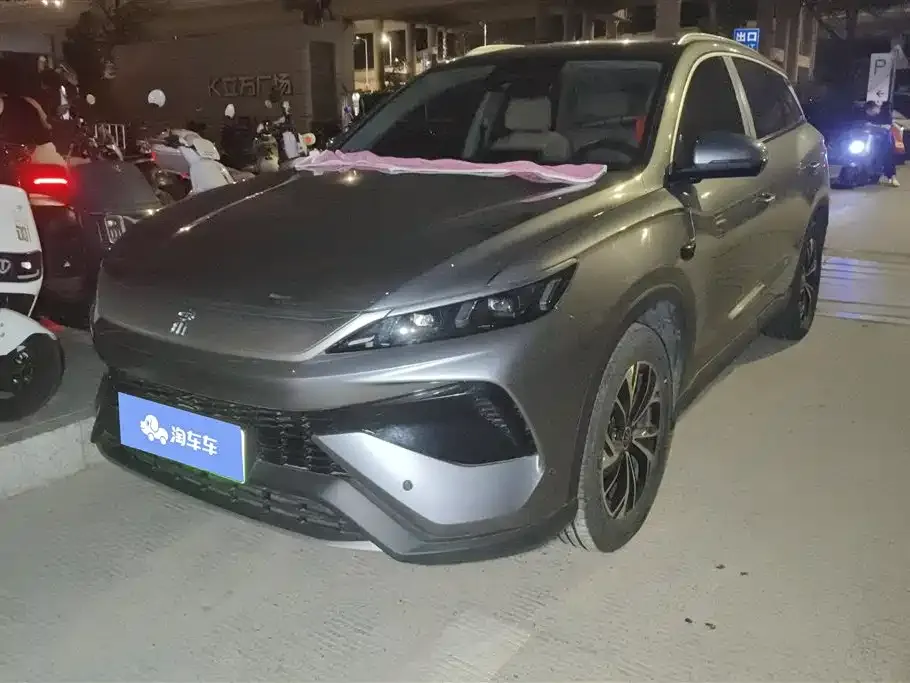 BYD Pro New Energy — фото 1