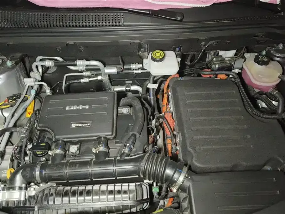 BYD Pro New Energy — фото 7