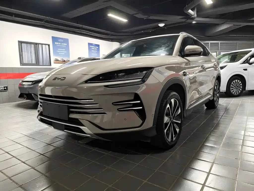 BYD PLUS New Energy — фото 1