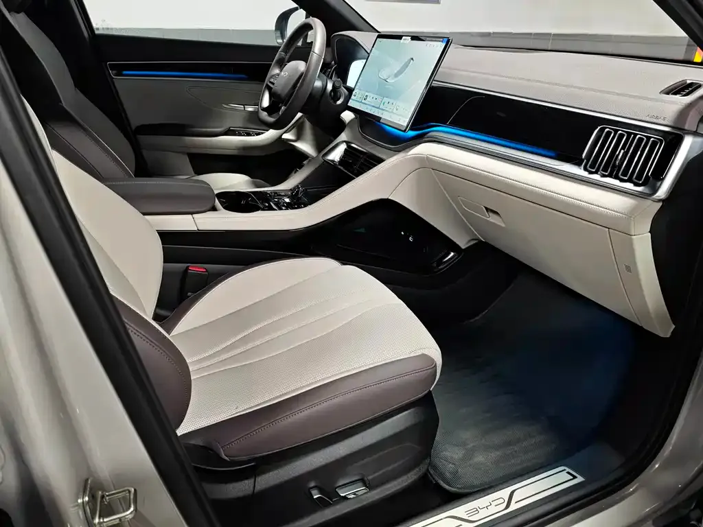 BYD PLUS New Energy — фото 6