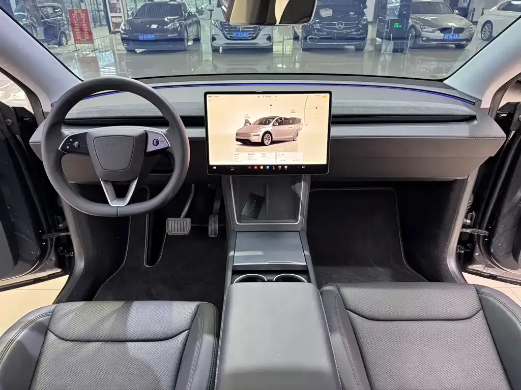 Tesla Model Y — фото 10