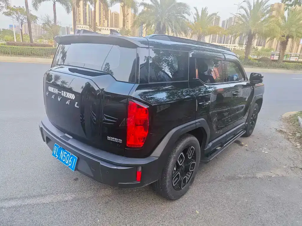 Haval Cool Dog 2022 из CN, фото 7