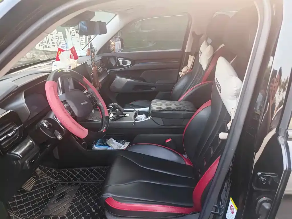 Haval Cool Dog 2022 из CN, фото 4