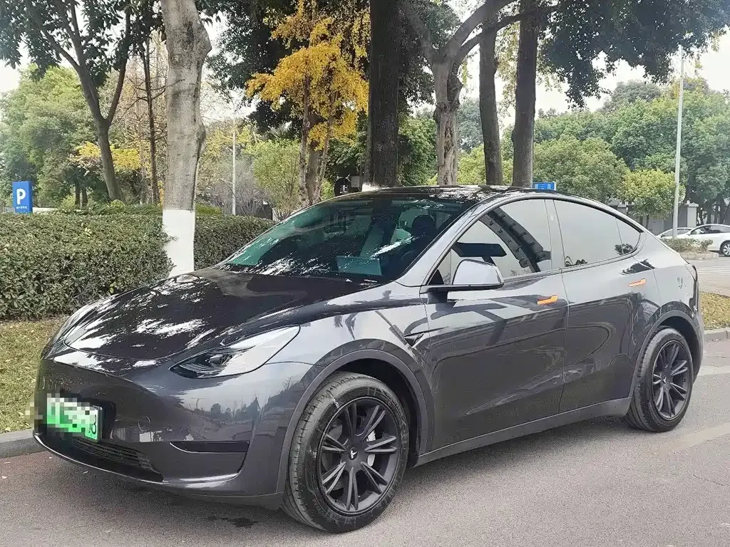 Tesla Model Y — фото 1