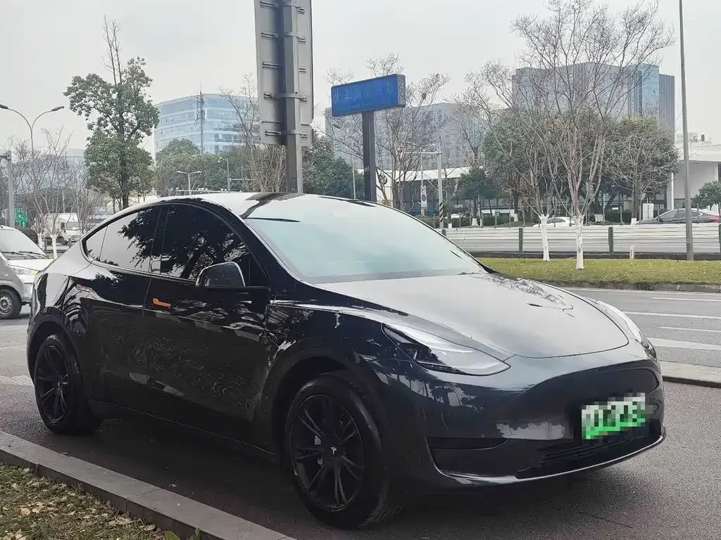 Tesla Model Y — фото 6