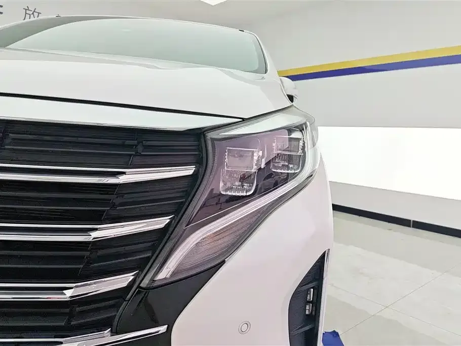 GAC Motor Trumpchi M8 — фото 6