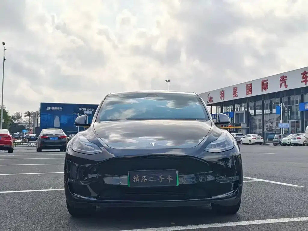 Tesla Model Y — фото 7
