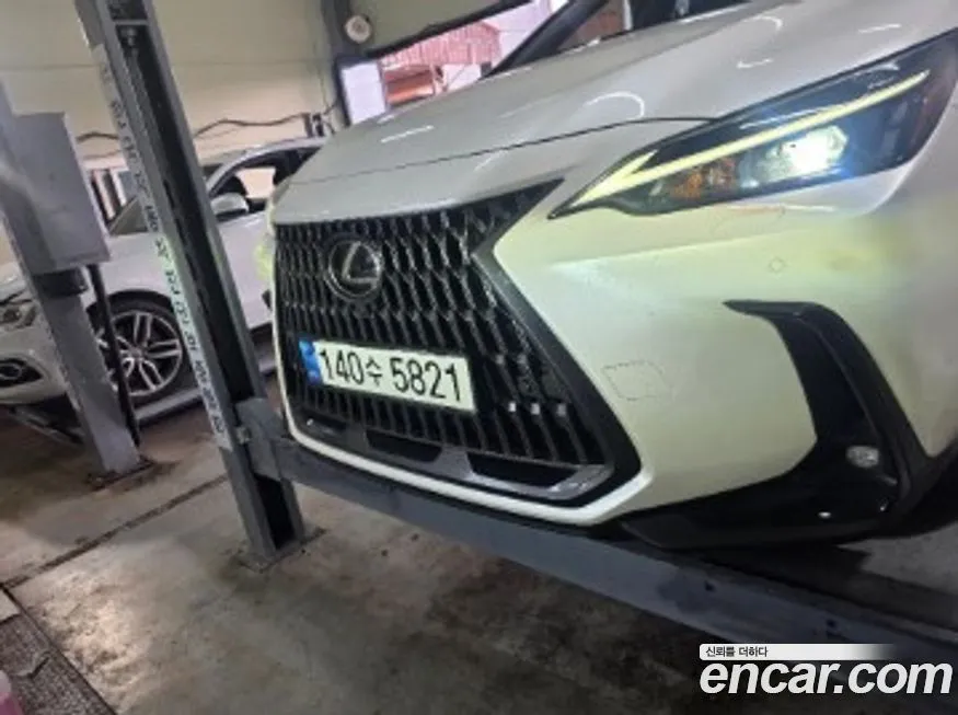 Lexus NX 2024 из KR, фото 1