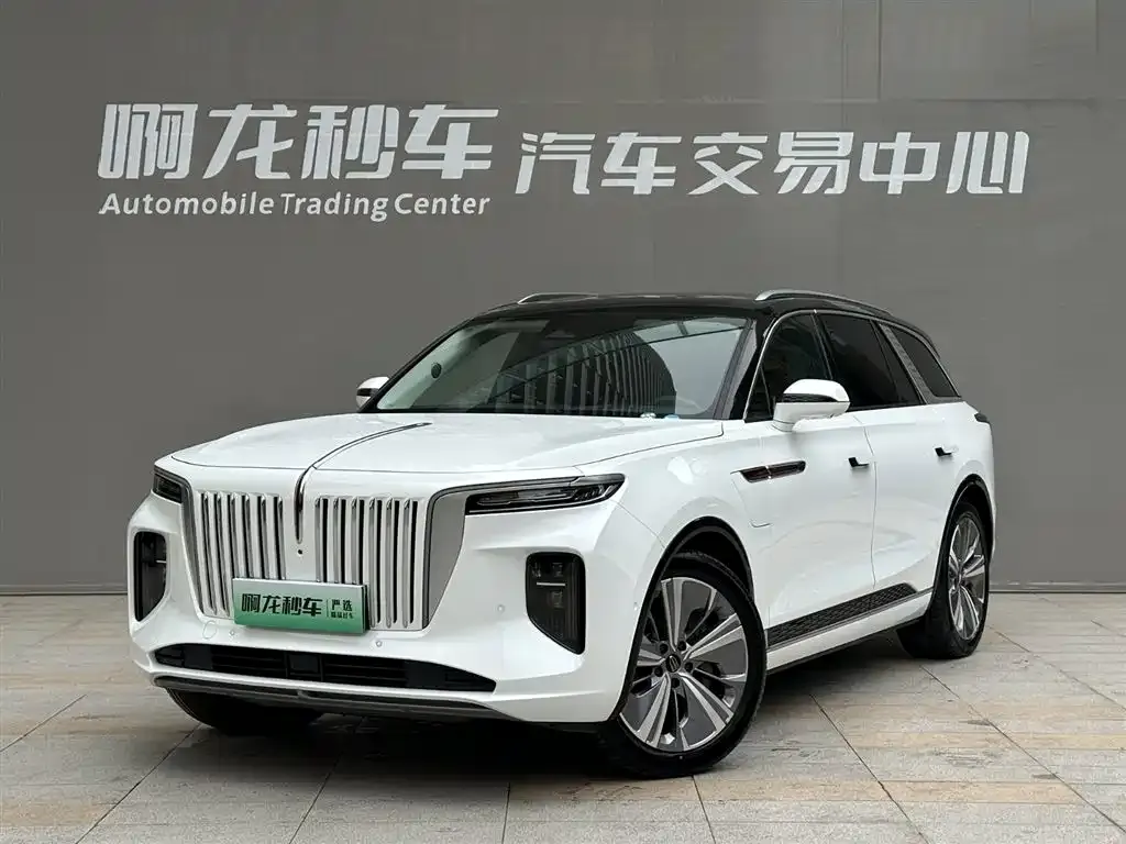 Hongqi E-HS9 — фото 1