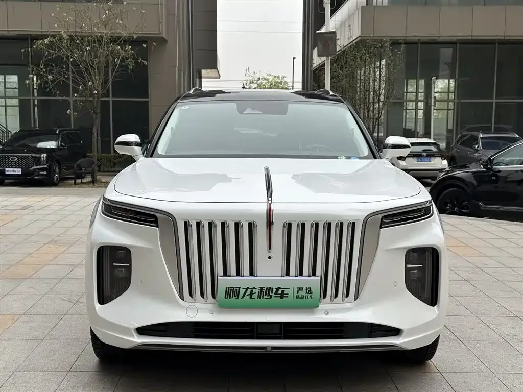 Hongqi E-HS9 — фото 9