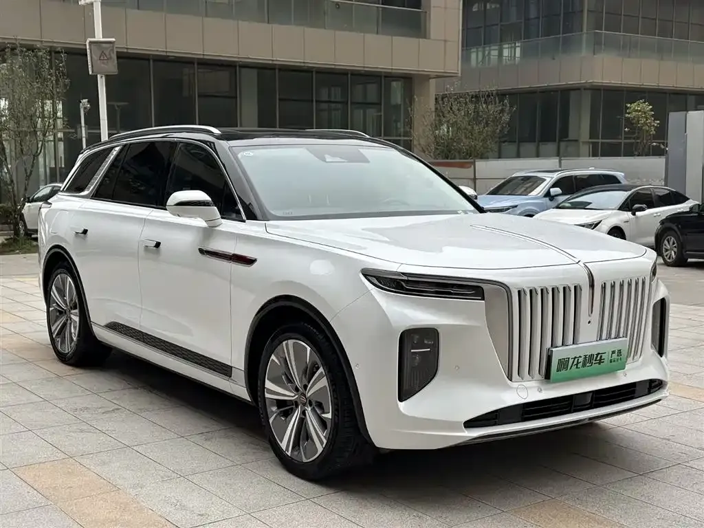 Hongqi E-HS9 — фото 5