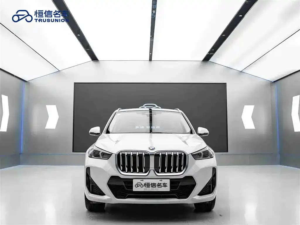 BMW X1 2024 из CN, фото 8