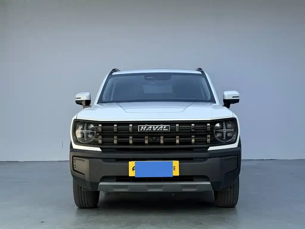 Haval Cool Dog 2023 из CN, фото 3