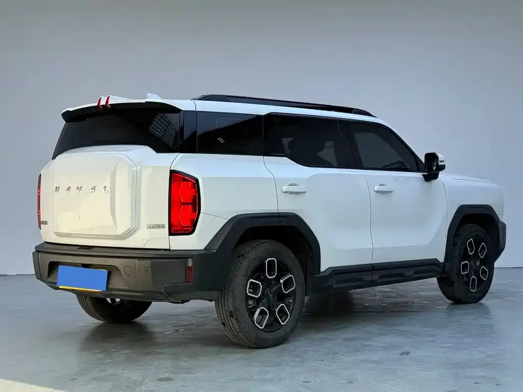Haval Cool Dog 2023 из CN, фото 2