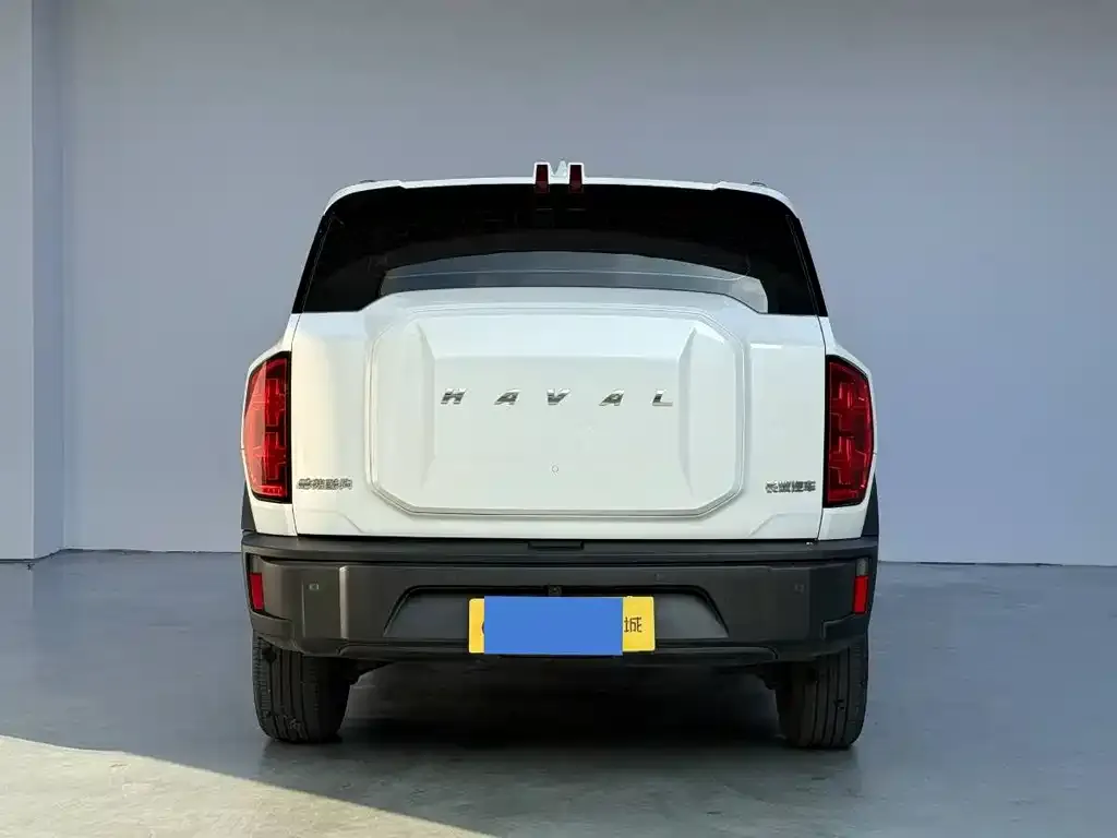 Haval Cool Dog 2023 из CN, фото 7