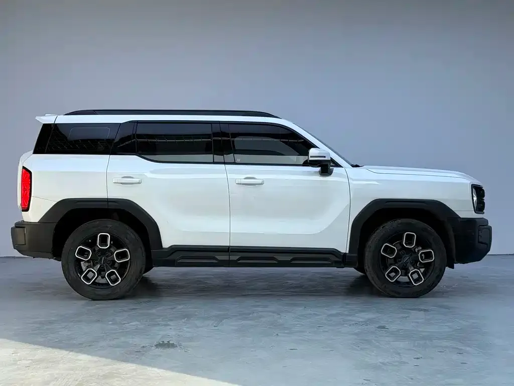 Haval Cool Dog 2023 из CN, фото 4