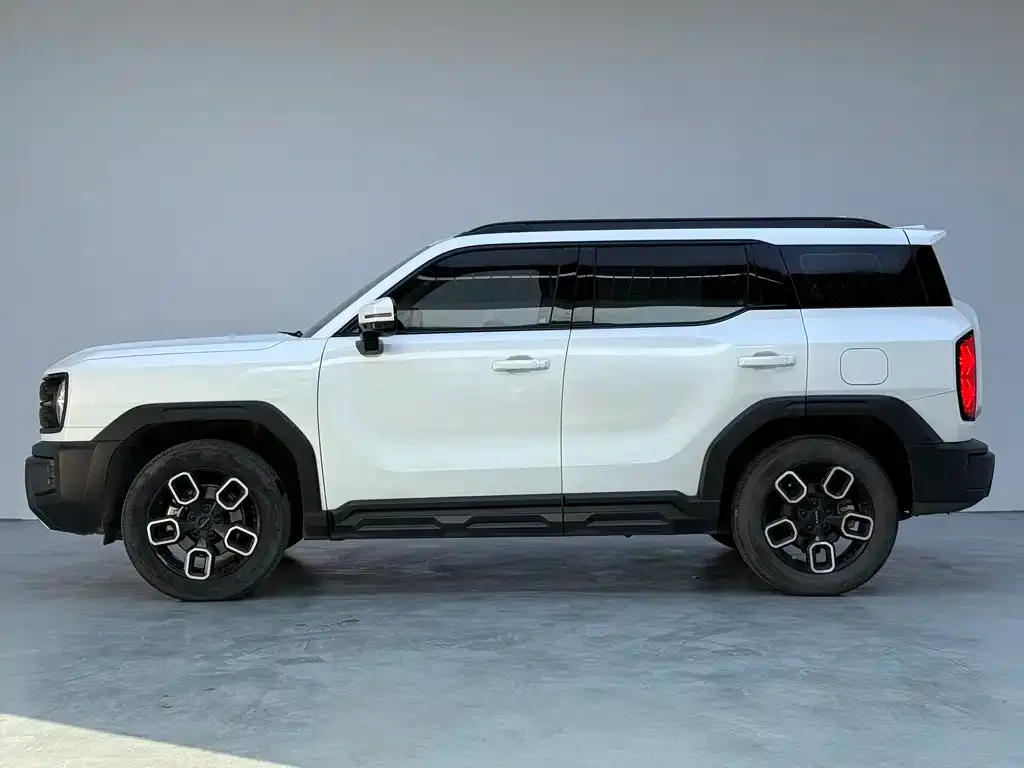 Haval Cool Dog 2023 из CN, фото 6