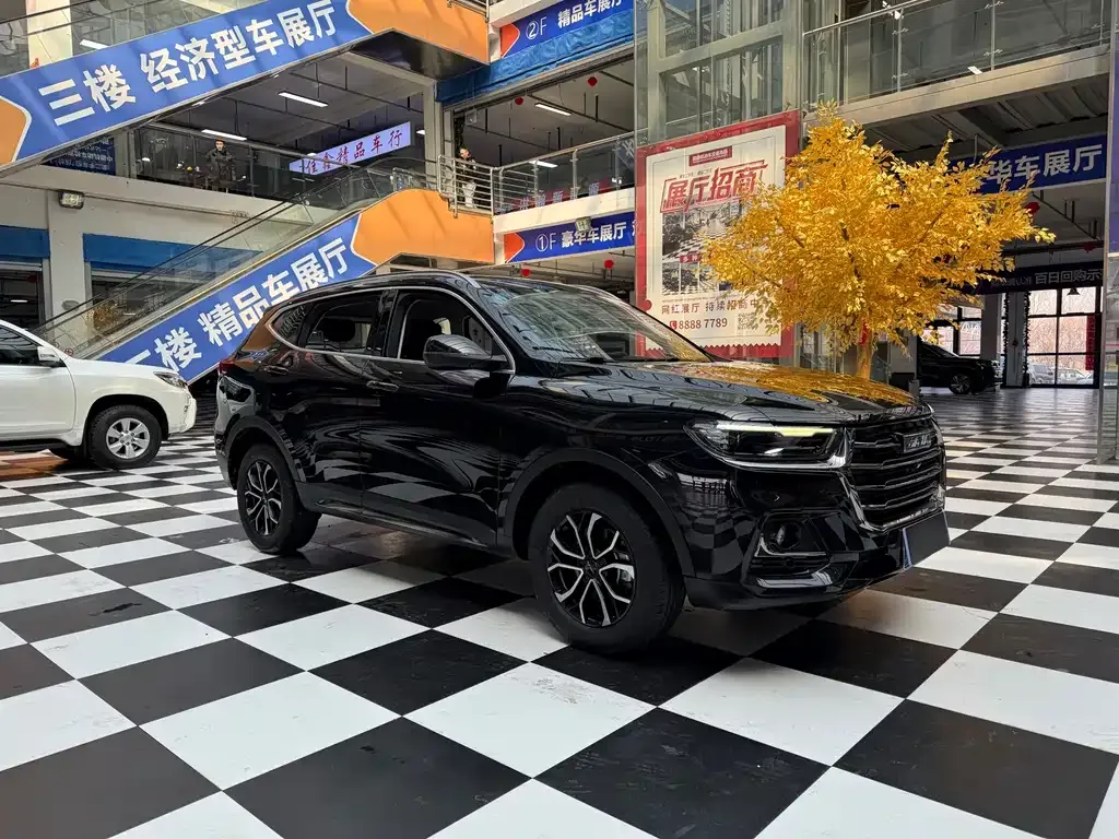 Haval H6 2021 из CN, фото 8