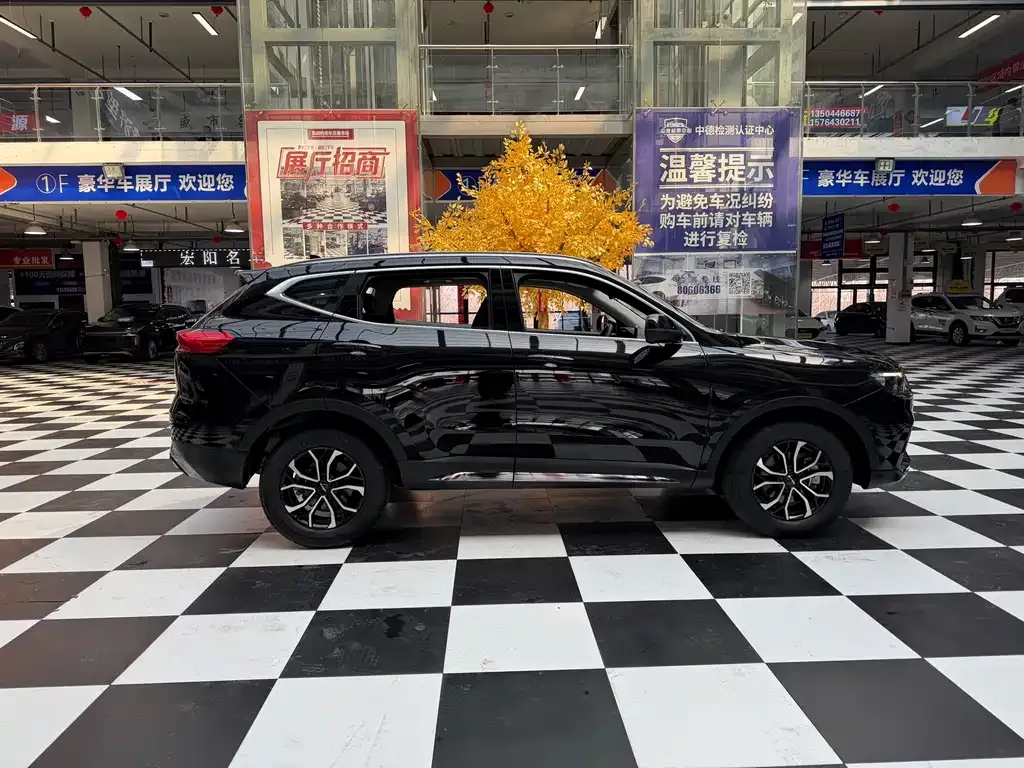 Haval H6 2021 из CN, фото 5