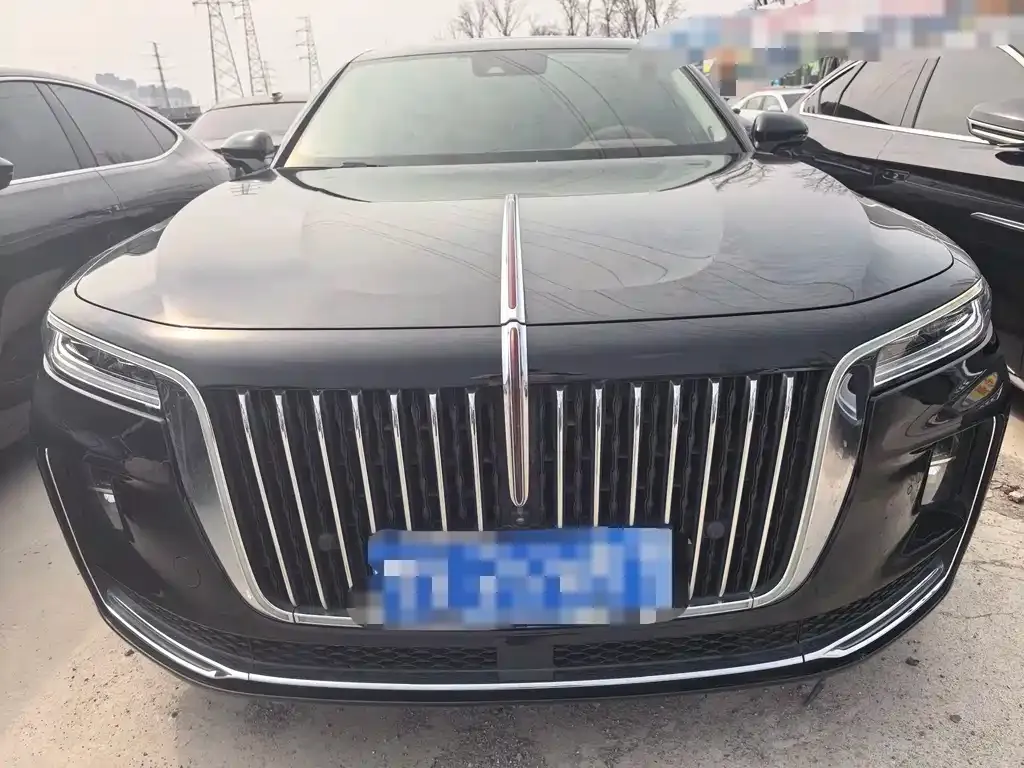 Hongqi H9 2022 из CN, фото 10