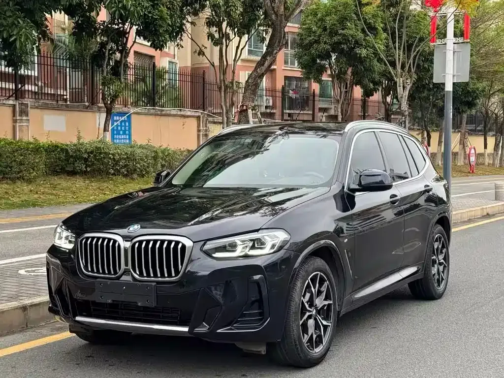 BMW X3 — фото 1