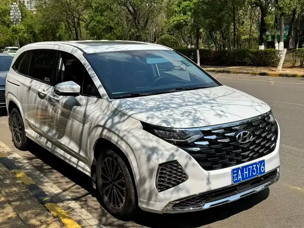 Hyundai Custo — фото 8