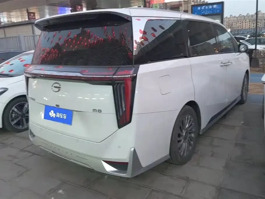 GAC Motor Trumpchi M8 2023 из CN, фото 10