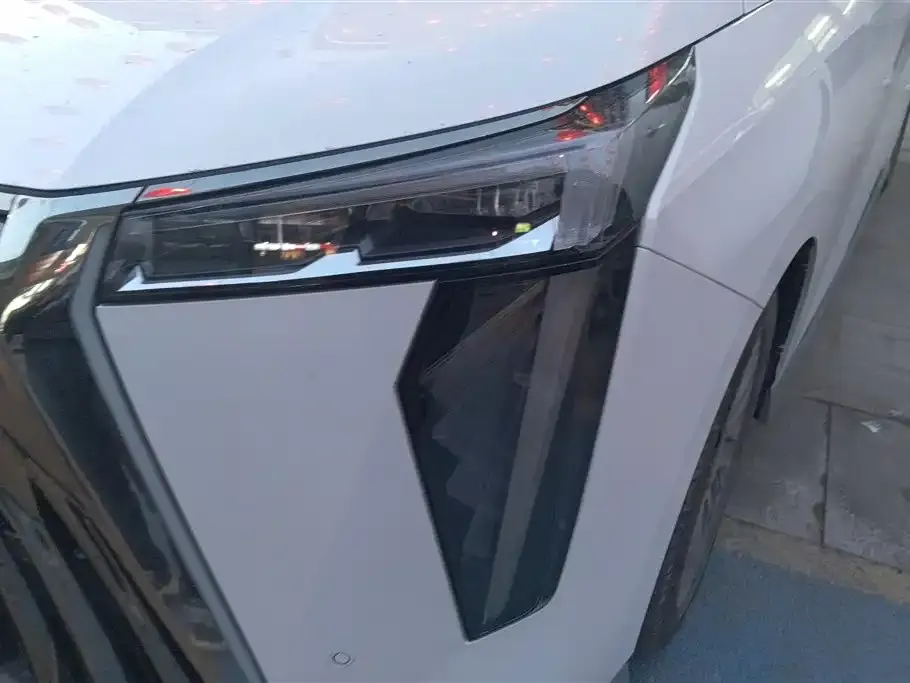GAC Motor Trumpchi M8 2023 из CN, фото 7