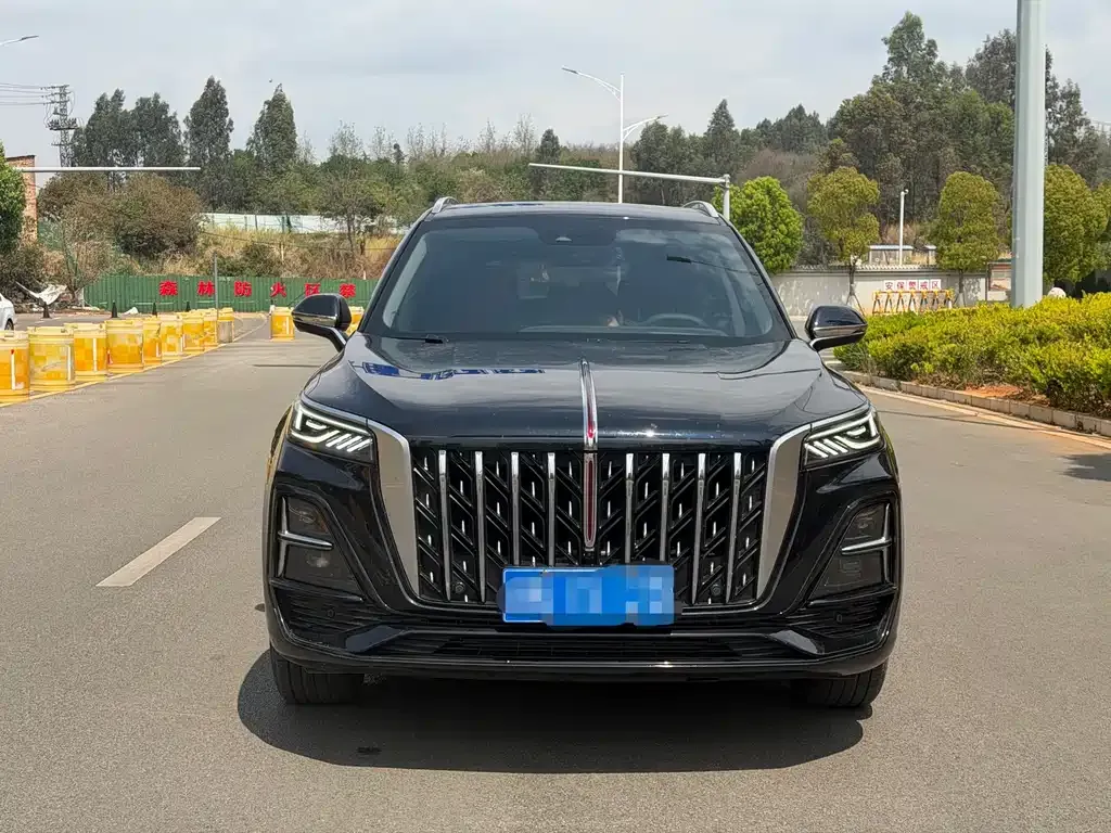 Hongqi HS5 2024 из CN, фото 7