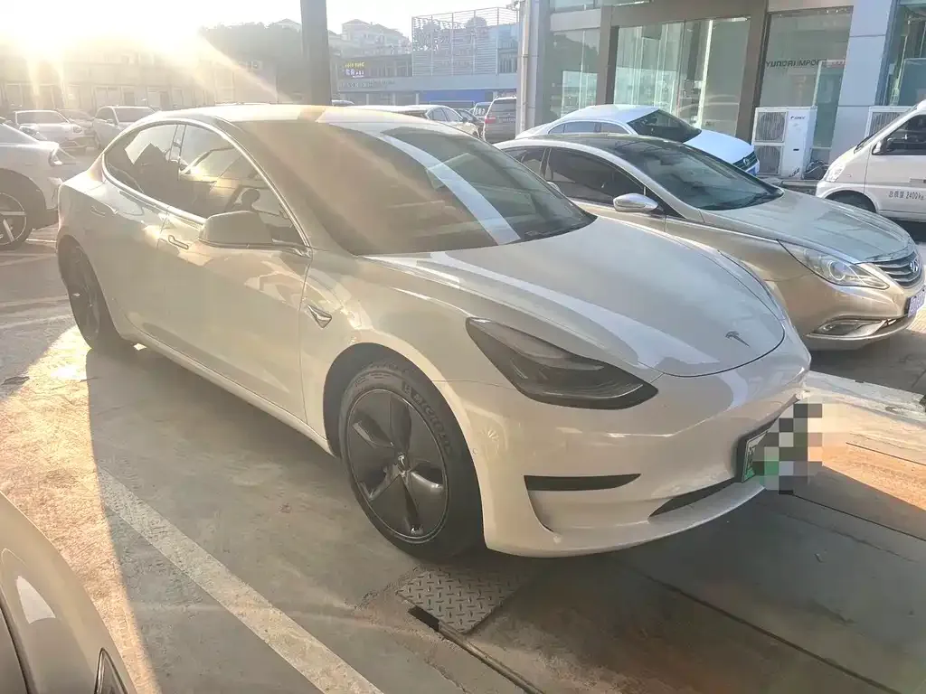 Tesla Model 3 2021 из CN, фото 7