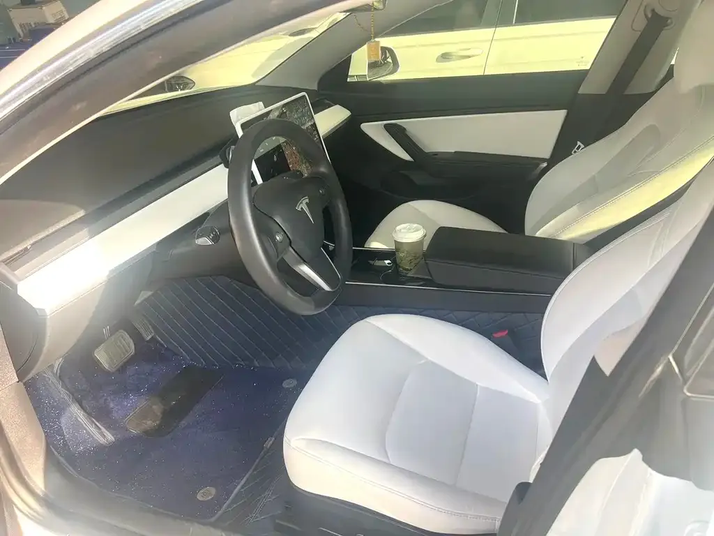 Tesla Model 3 2021 из CN, фото 3