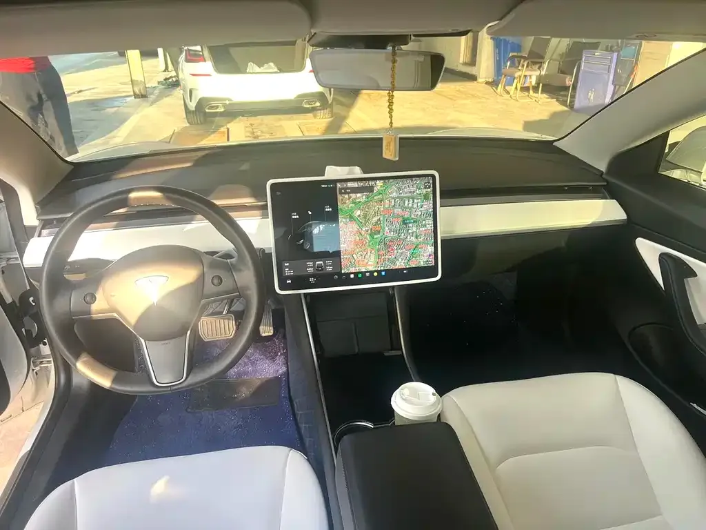 Tesla Model 3 2021 из CN, фото 5