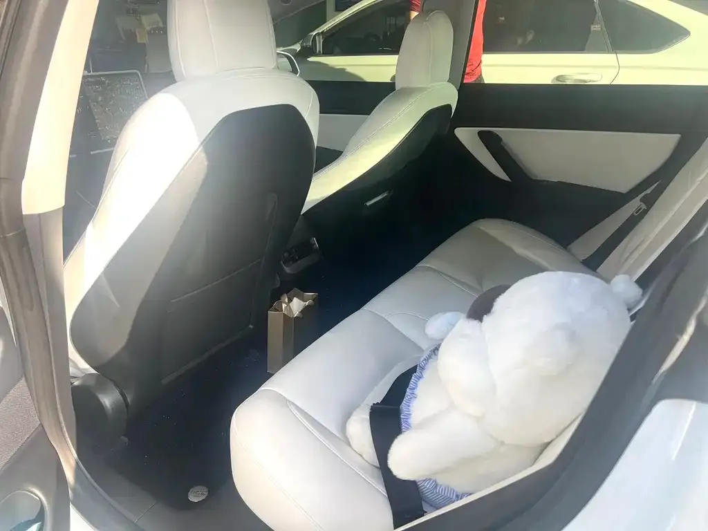 Tesla Model 3 2021 из CN, фото 6