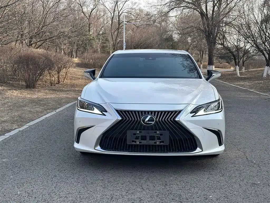 Lexus ES 2021 из CN, фото 7