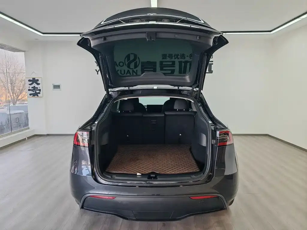 Tesla Model Y — фото 6