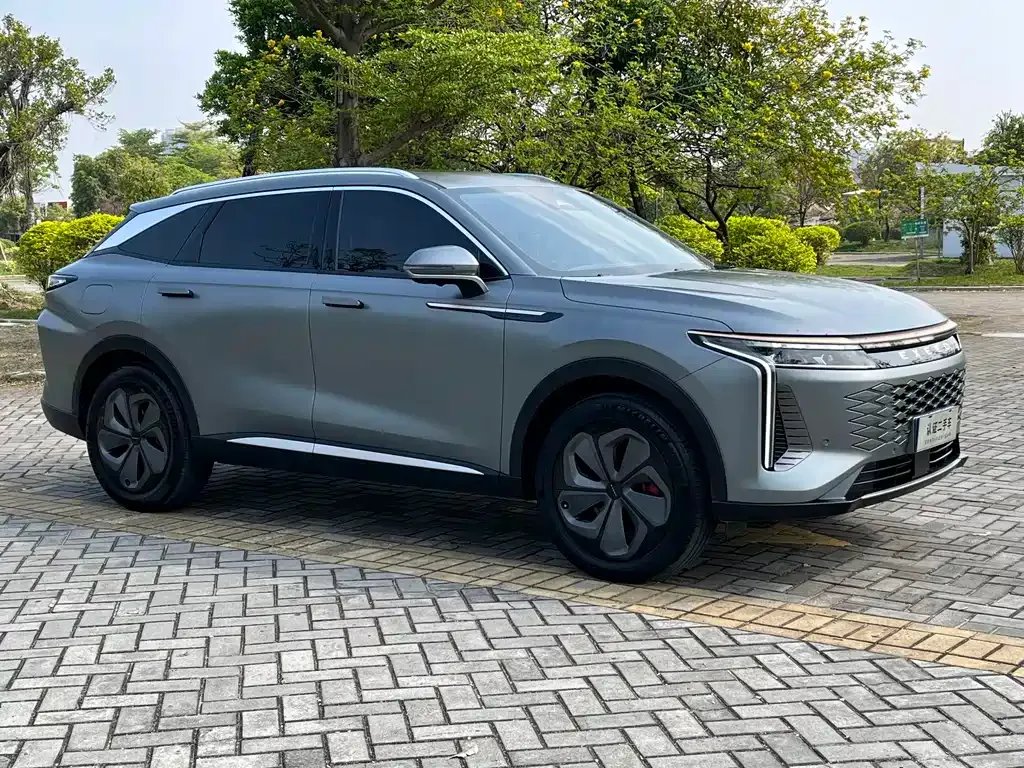 Exeed Yaoguang 2023 из CN, фото 6