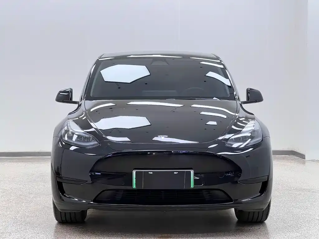 Tesla Model Y 2023 из CN, фото 2