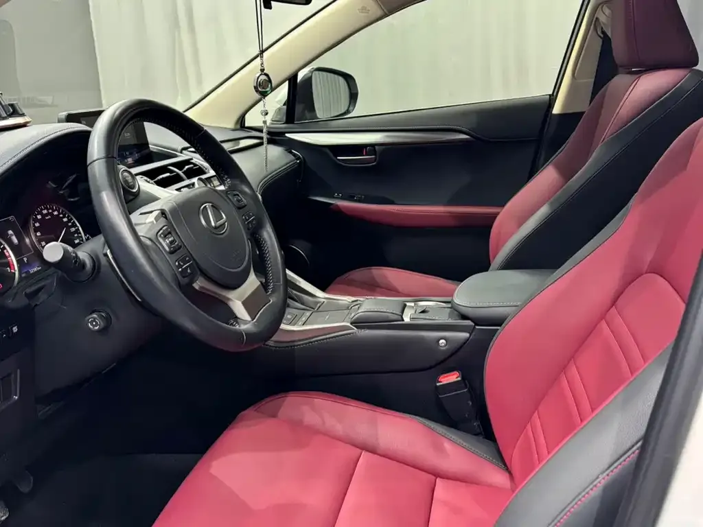 Lexus NX 2021 из CN, фото 4