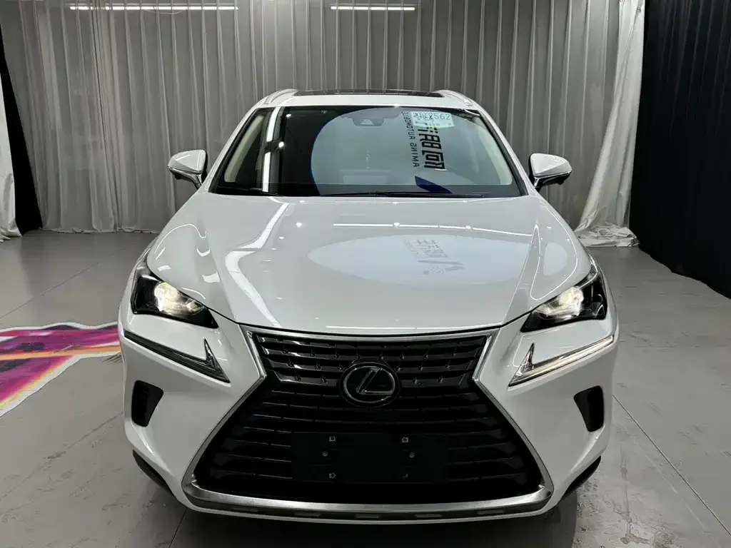 Lexus NX 2021 из CN, фото 9