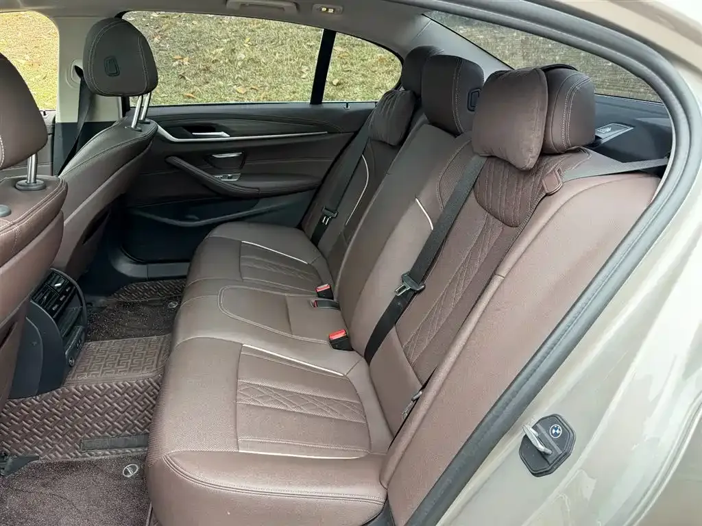 BMW 5 Series New Energy 2021 из CN, фото 3