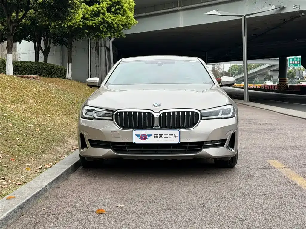 BMW 5 Series New Energy 2021 из CN, фото 4