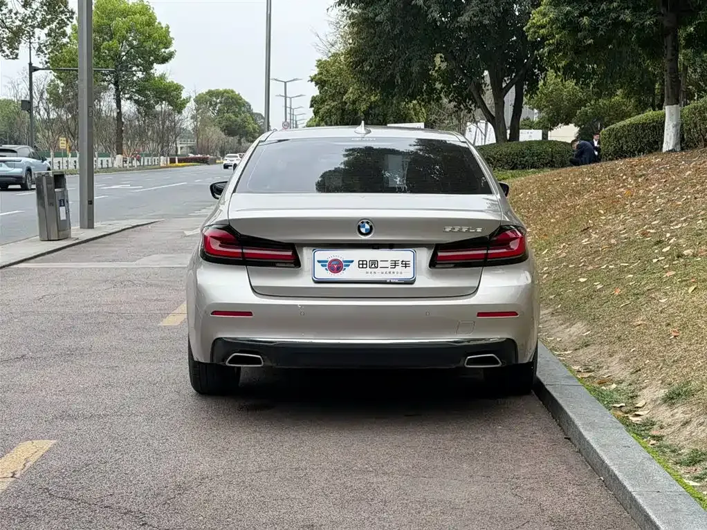 BMW 5 Series New Energy 2021 из CN, фото 6