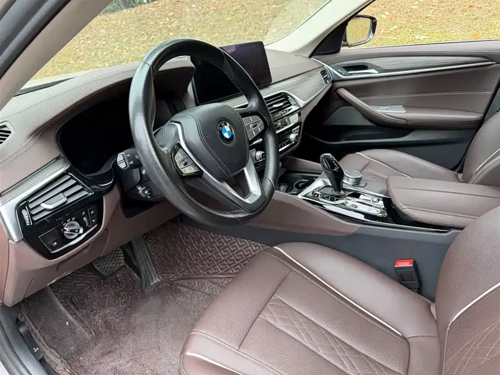 BMW 5 Series New Energy 2021 из CN, фото 5